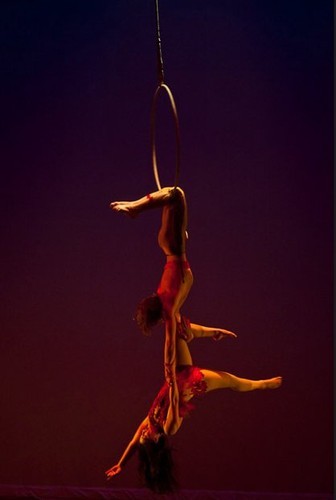 Dr Khalfayan Performs Surgery on Aerialists and Acrobats for The Cabiri